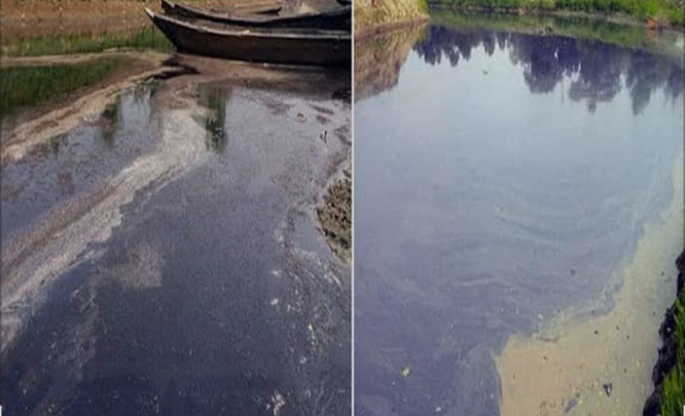 অলিপুরের শিল্প কারখানার বিষাক্ত বর্জ্যে ভাল নেই লাখাইয়ের  সুতাং নদী।