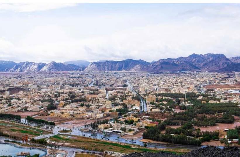 সৌদি আরবের হাইল অঞ্চলে ২৩টি নতুন বিনিয়োগ সুযোগ, অর্থনৈতিক প্রবৃদ্ধির গতি ত্বরান্বিত করার উদ্যোগ