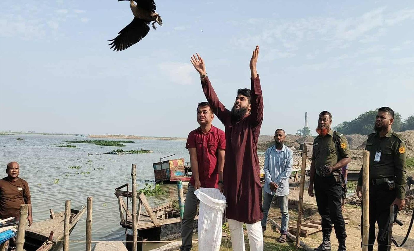 পোরশায় উপজেলা প্রশাসনের অভিযানে ৬টি অতিথি পাখি মুক্তি পেলো