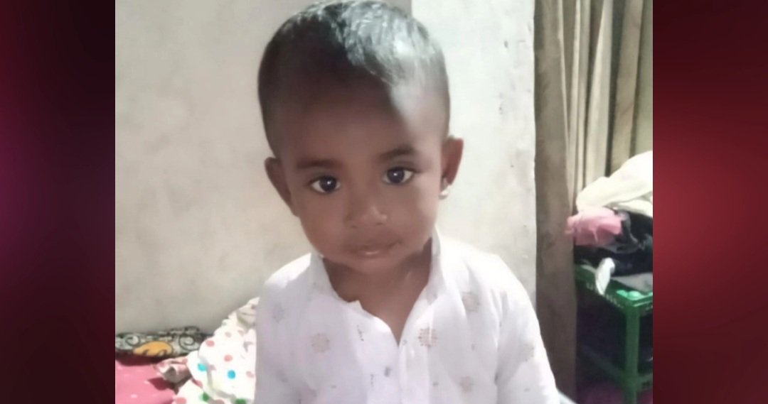 বাড়ির উঠান থেকে শিশুকে নিয়ে গেল শিয়াল